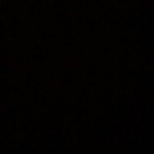 Meet your Posher, Toriyanna